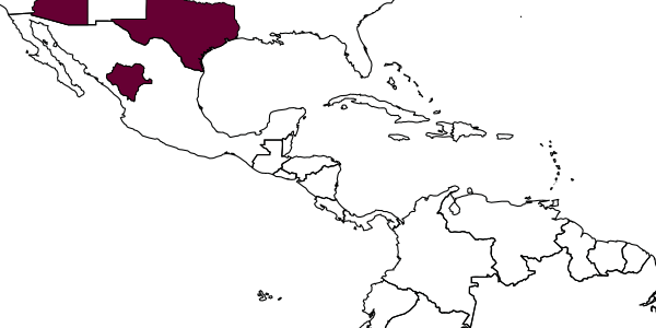 map of Dipogon iracundus     Townes, 1957